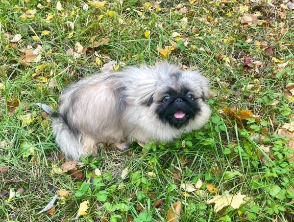 Прикрепленное изображение: IMG-20241024-WA0007.jpg